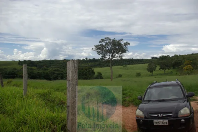 Imagem Fazenda em Cajuru 72 alqueires com soja, gado, braquiária e estrutura, 75 km de Ribeirão Preto - SP