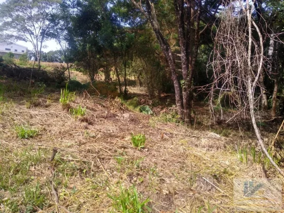 Imagem Terreno para Venda em São José dos Pinhais, Inhoaiva
