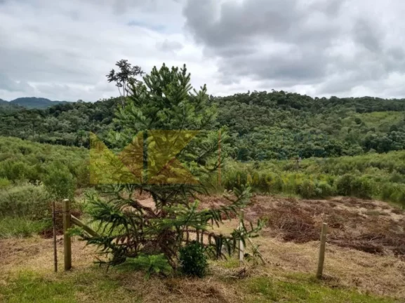 Imagem Fazenda à Venda, 90 m² em Barra Avencal - Rio Dos Cedros