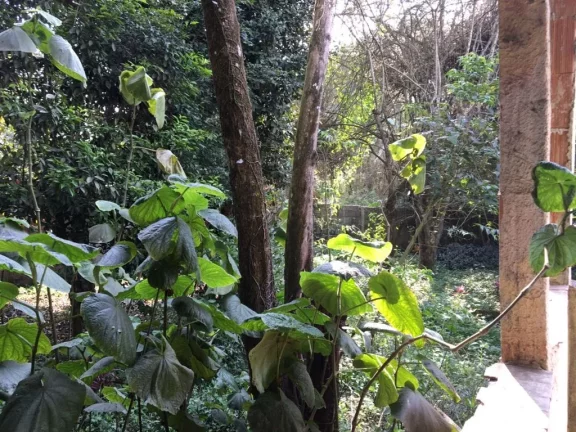 Imagem Terreno à venda, 500 m² por R$ 390.000,00 - Parque Palmeiras - Suzano/SP
