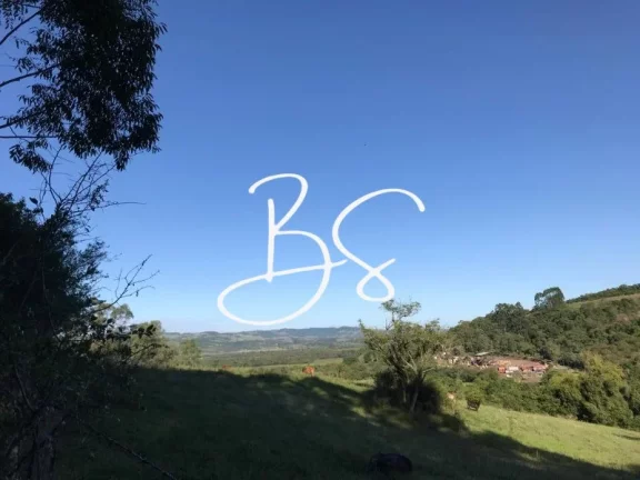 Imagem AREA RURAL em SANTO ANTÔNIO DA PATRULHA - RS, Pinheirinhos