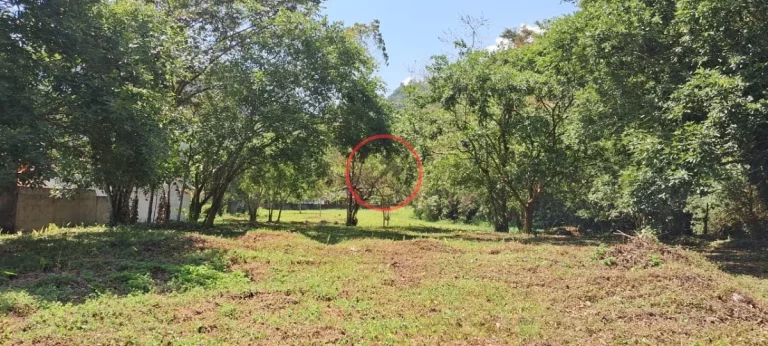 Imagem TERRENO 90.000 M²,16.232M²DE AREA USO ANTROPICO JA COM: CASA DE FAZENDA GRANDE, PISCINA,LAGO ,CASA DE CASEIRO, CANIL,GARAGEM