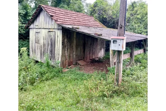 Imagem CLBG 120 Lote 612511062-6 - Fazenda à venda no bairro Riozinho - Riozinho/RS