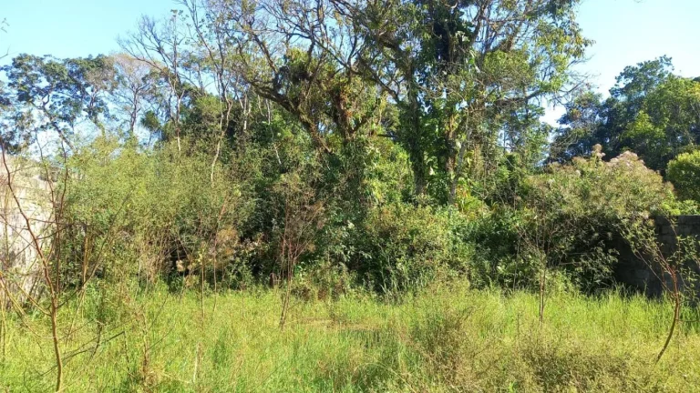 Imagem Terreno para Venda em Itanhaém, Jardim Fenix