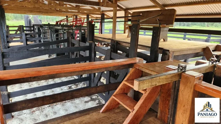 Imagem Fazenda 1550ha