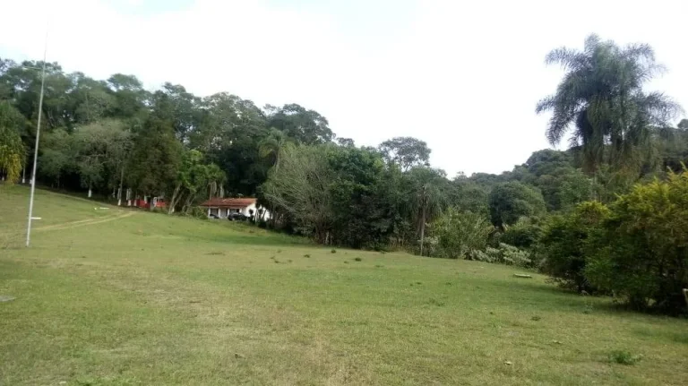 Imagem Área 500 mil m² - V.G.Paulista (Km 44,5 R.Tavares) PROMOÇÃO