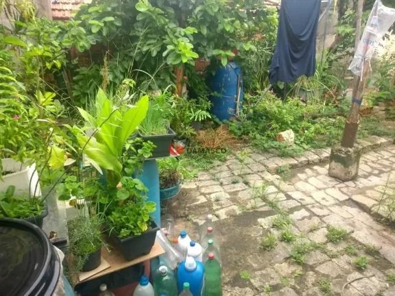 Imagem Casa à venda - Santa Maria, São Caetano do Sul - SP