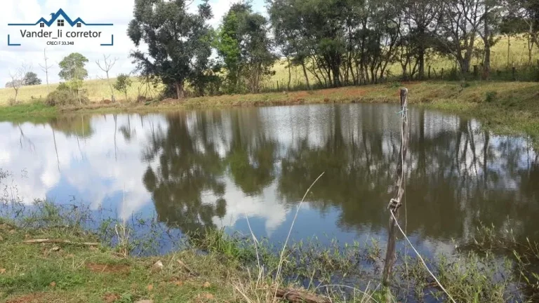 Imagem Chacara de 1,5 alqueires à venda localizado no Distr. de São Roque Sta Helena -