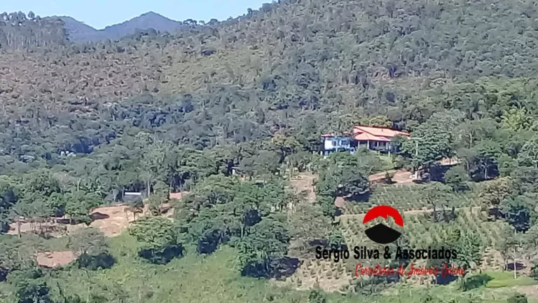 Imagem Maravilhoso Sítio a Venda Localizado na Região de Santo Antônio do Pinhal .