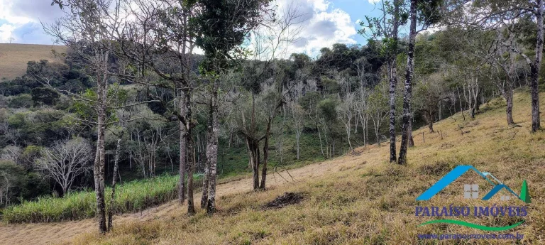 Imagem Oportunida Única! terreno Rural com nascentes no Caminho da Fé!