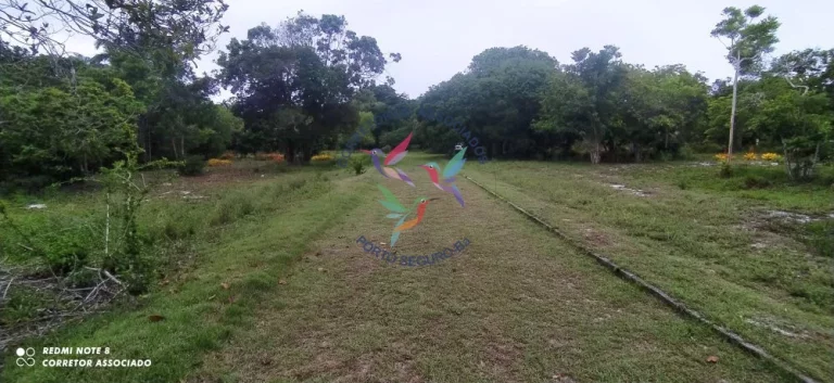 Imagem BELÍSSIMA ÁREA PARA CONDOMÍNIO EM SANTO ANDRÉ BAHIA