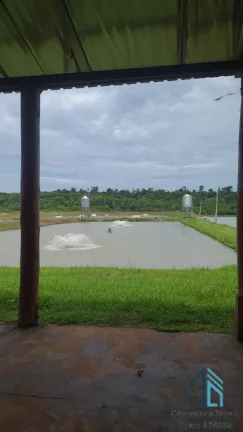 Imagem Sítio Produtivo de 5 alqueires, 7 tanques, em São Miguel do Iguaçu PR