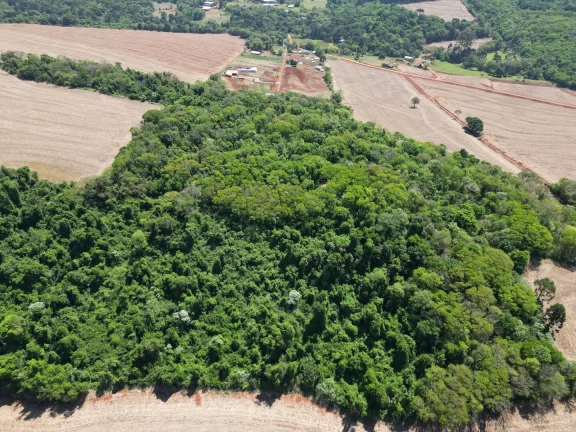 Imagem Chácara a venda em Cascavel, com 2,0992 hectare cada uma e matrícula indiviauais.