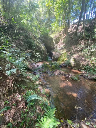 Imagem Fantástico Sítio a Venda com 29 Alqueires em Piracaia