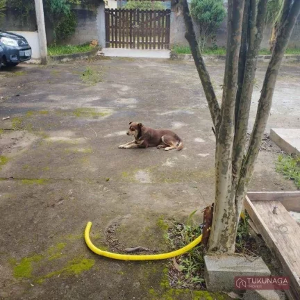 Imagem Chácara à venda, 1000 m² por R$ 393.000,00 - Capim Branco - Mairiporã/SP