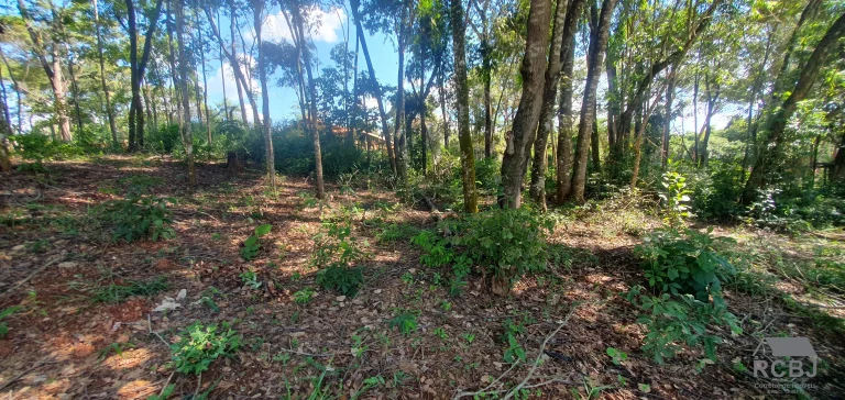 Imagem TERRENO RESIDENCIAL em ESMERALDAS - MG, CIDADE JARDIM