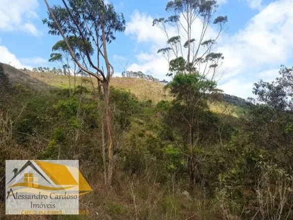 Imagem Vendo área rural com 20 mil mts², boa topografia com nascente.