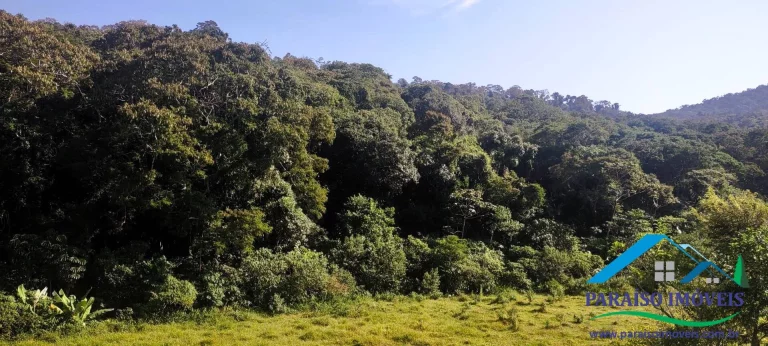 Imagem Paraíso na Serra da Mantiqueira: Seu refúgio com natureza exuberante!