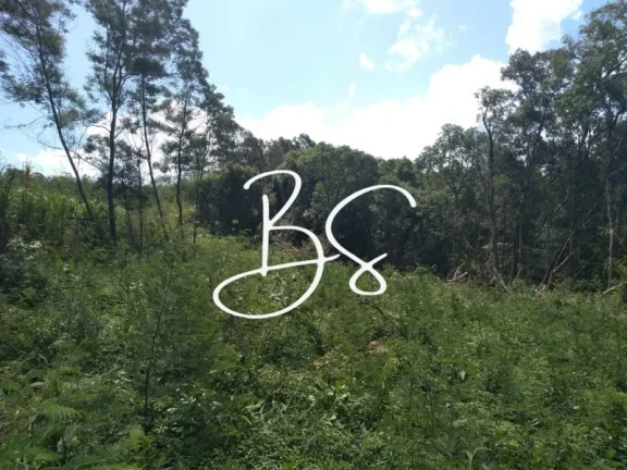 Imagem SITIO RURAL em IGREJINHA - RS, Serra Grande