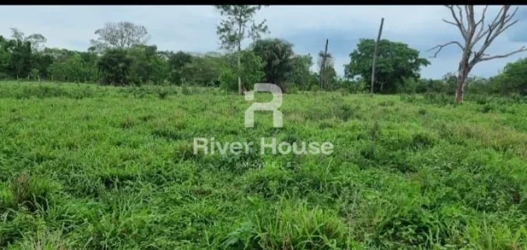 Imagem Fazenda à venda, Região Distrito Olho D´agua, Santo Antônio do Leverger, MT