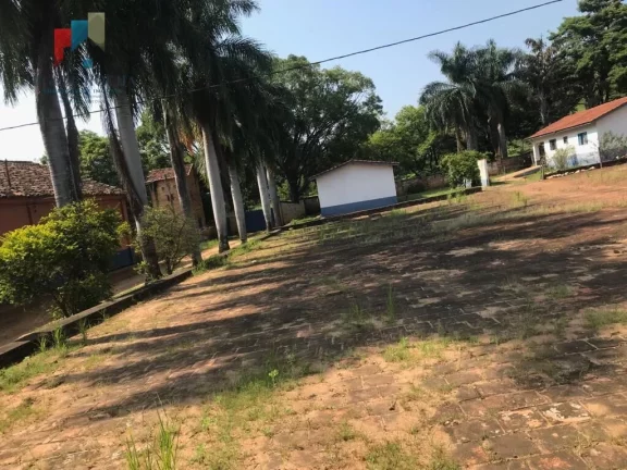 Imagem Fazenda região de Itapira SP
