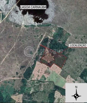 Imagem Area com 6 hectares a venda - Nisia floresta