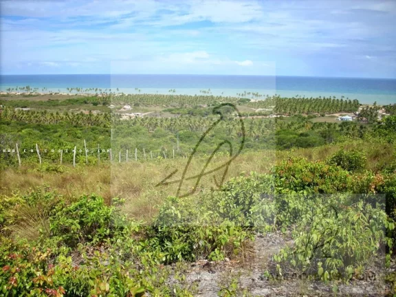 Imagem Terreno para Venda em Conde / BA no bairro Barra do Itariri