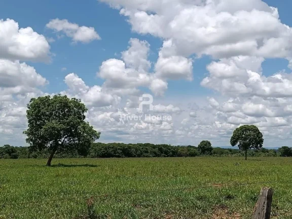 Imagem Fazenda a venda com 890 hectares Dupla aptidão na Região de Nossa senhora do Livramento Livramento MT