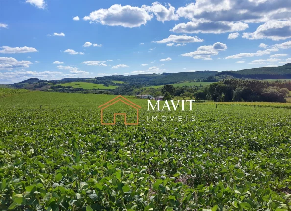 Imagem SITIO RURAL em CAPÃO ALTO - SC, Capão Alto