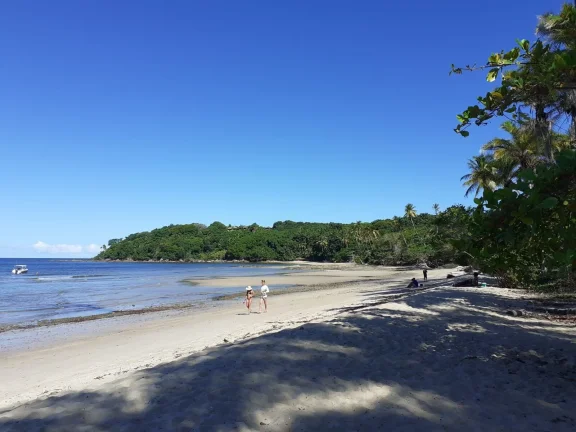 Imagem Oportunidade única: Área de Terra em Velha Boipeba, Cairu - confira!