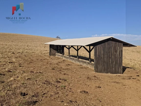 Imagem Fazenda a venda Capão Bonito SP