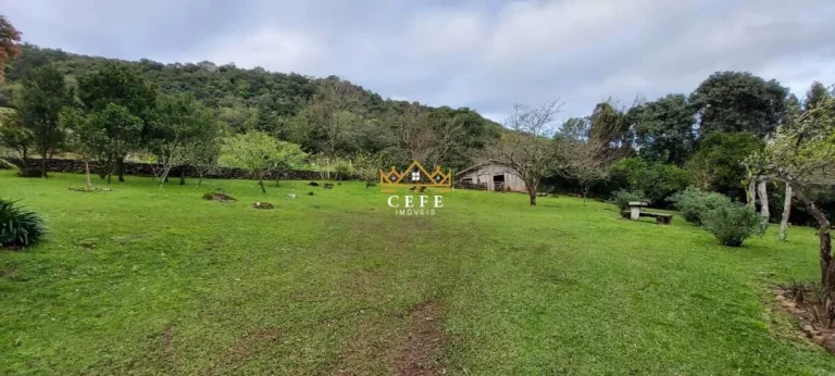 Imagem Chácara - Sítio com 3 Dormitorio(s) localizado(a) no bairro Samambaia em São Francisco de Paula / RIO GRANDE DO SUL Ref.:1532