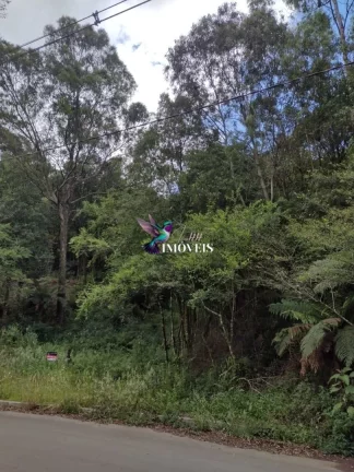 Imagem Terreno à venda no bairro Santa Terezinha em Canela/RS