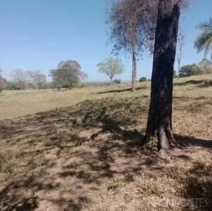 Imagem Fazenda à Venda, 2.032.800 m² em Zona Rural - Guaraci
