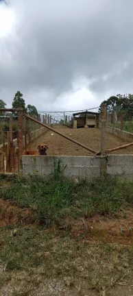 Imagem EXCELENTE SÍTIO NO BAIRRO PONTE ALTA