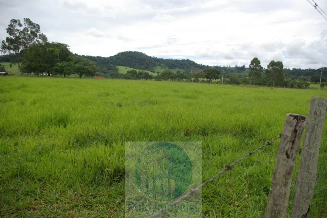Imagem Fazenda 59 alqueires para soja, milho, gado em Cássia dos Coqueiros - SP . Temos autorização para venda.