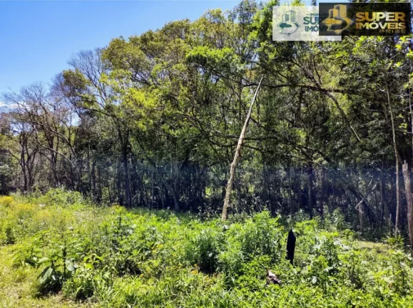 Imagem Chácara 3 hectares para Venda na BR em Cascata Pelotas-RS