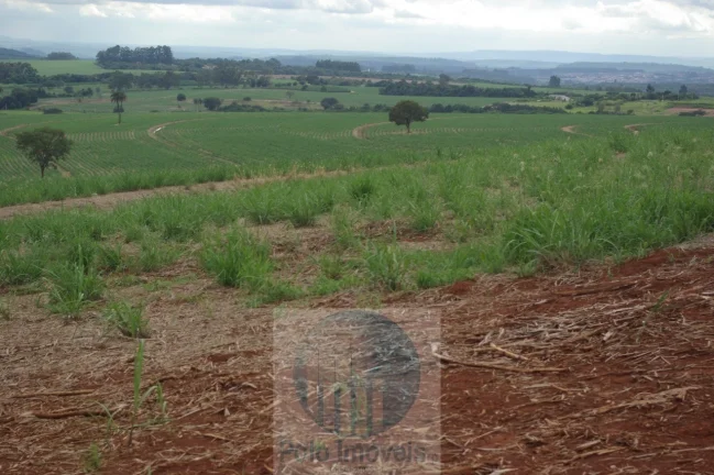 Imagem Fazenda em Cajuru 65,2254 alqueires com 35 alqueires em cana - a 78 km de Ribeirão Preto - SP sentido Casa Branca