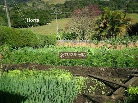 Imagem Chácara à venda, 8000 m² por R$ 650.000,00 - Itapeva - Itapeva/MG
