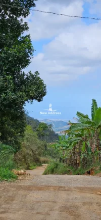 Imagem Oportunidade de Investimento em São Paulo de Cima, Viana: Sítio de 3.000m² com campo de futebol e ponto comercial estabelecido na região.