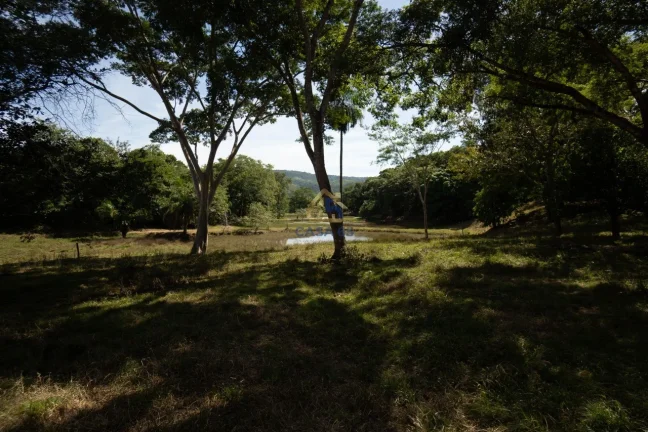 Imagem Sítio à venda na Guia - Cuiabá/MT | 82 hectares com nascente, açudes e estrutura completa