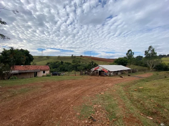 Imagem Área rural para criação de gado de 7,762 ha com 3,2 ha de aproveitamento para gado