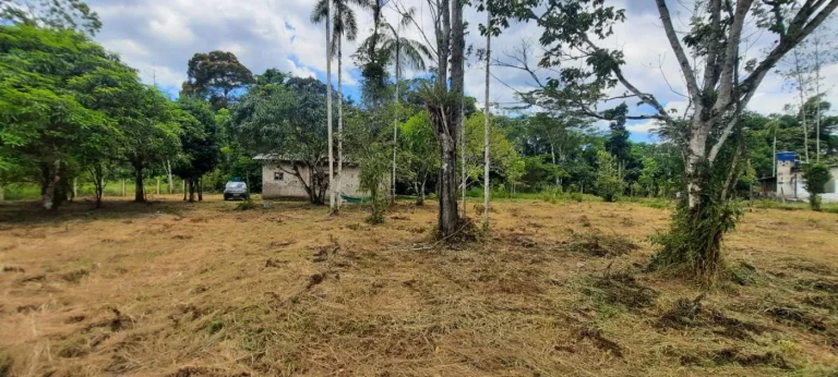 Imagem Chácara para Venda em Itanhaém, Gaivota (Interior), 2 dormitórios, 1 banheiro, 15 vagas