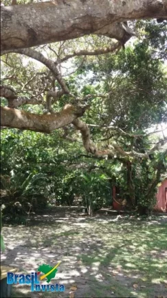 Imagem LINDA ÁREA EM CABRÁLIA