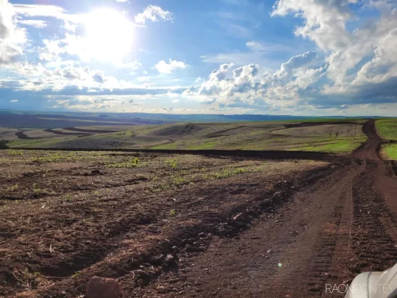 Imagem Fazenda à Venda, 2.057.000 m² em Centro - Cambé