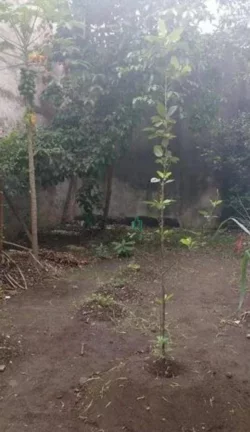 Imagem Sobrado com 2 dormitórios à venda, 200 m² por R$ 400.000,00 - Jardim Adriana - Guarulhos/SP