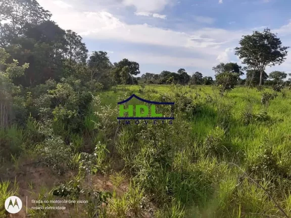 Imagem Fazenda 318 Alqs Barranca do Rio Araguaia em Araguaiana/MT