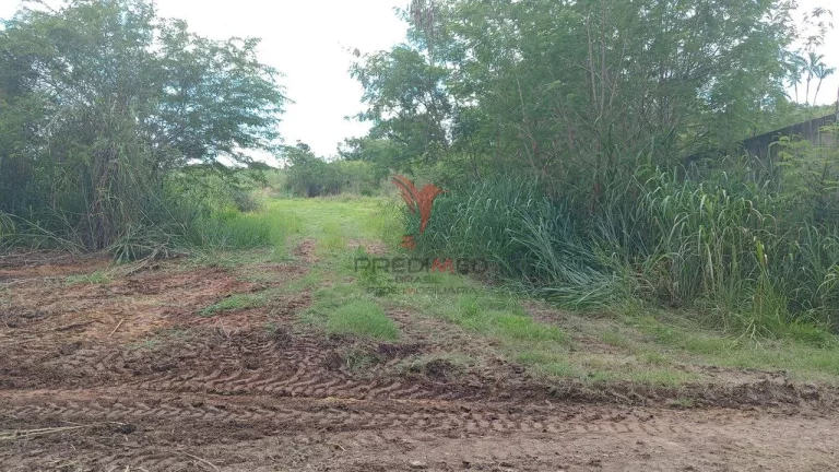 Imagem Vendo Chácara, documentada, Pau D