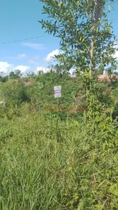 Imagem MEIO LOTE À VENDA - BALNEÁRIO PALMEIRAS | Itapoá