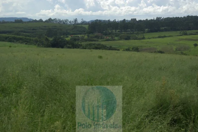Imagem Fazenda em Cajuru 72 alqueires com soja, gado, braquiária e estrutura, 75 km de Ribeirão Preto - SP